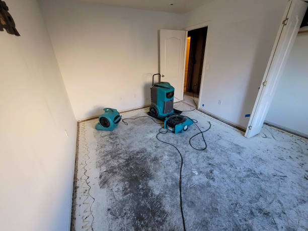 Best Mold removal after water damage  in Minorca, LA