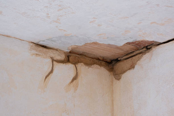 Best Flooded house restoration  in Minorca, LA