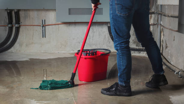 Best Water damage restoration near me  in Minorca, LA