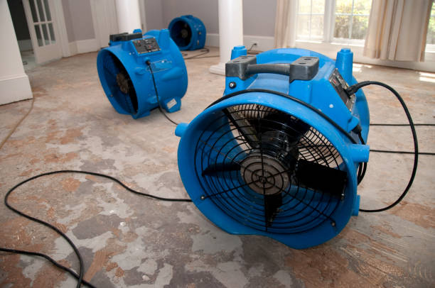 Best Basement water damage restoration  in Minorca, LA