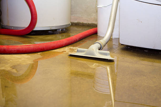 Professional Water damage restoration in Minorca, LA