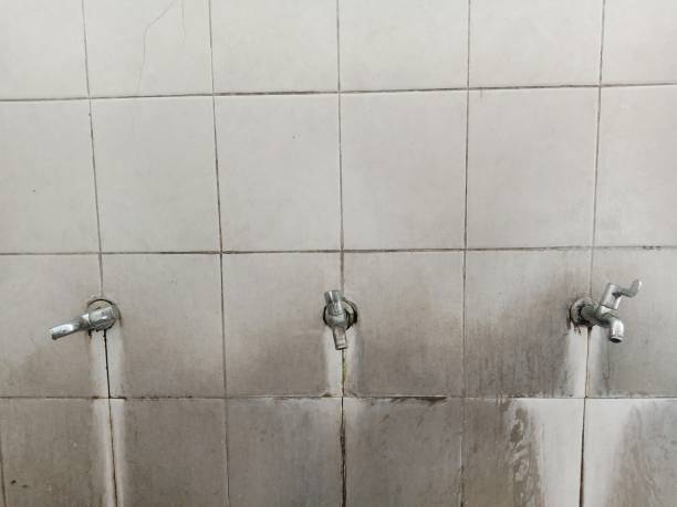 Local water damage restoration in Minorca, LA