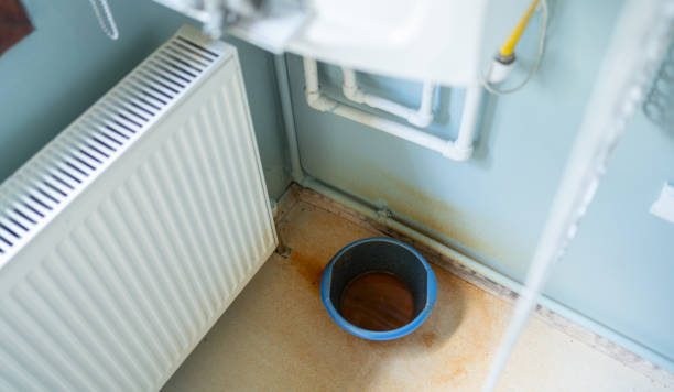 Best Fire Damage Restoration  in Minorca, LA