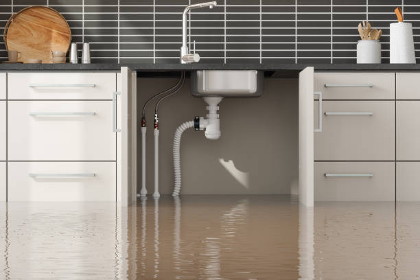 Best Emergency water damage restoration  in Minorca, LA