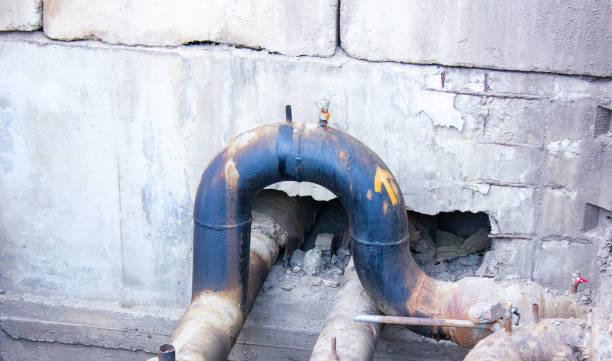 Best Basement water damage restoration  in Minorca, LA