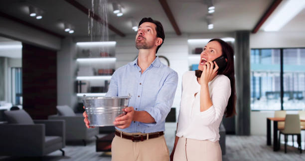 Best Local water damage restoration  in Minorca, LA