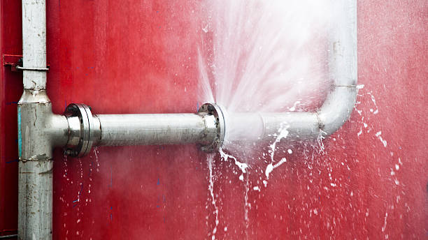 Best Ceiling water damage repair  in Minorca, LA